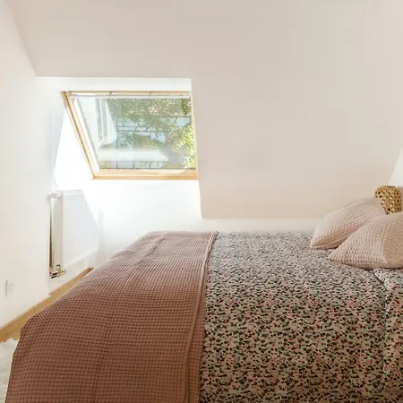De Standing 8 Personnes Centre Historique De Apartment Colmar